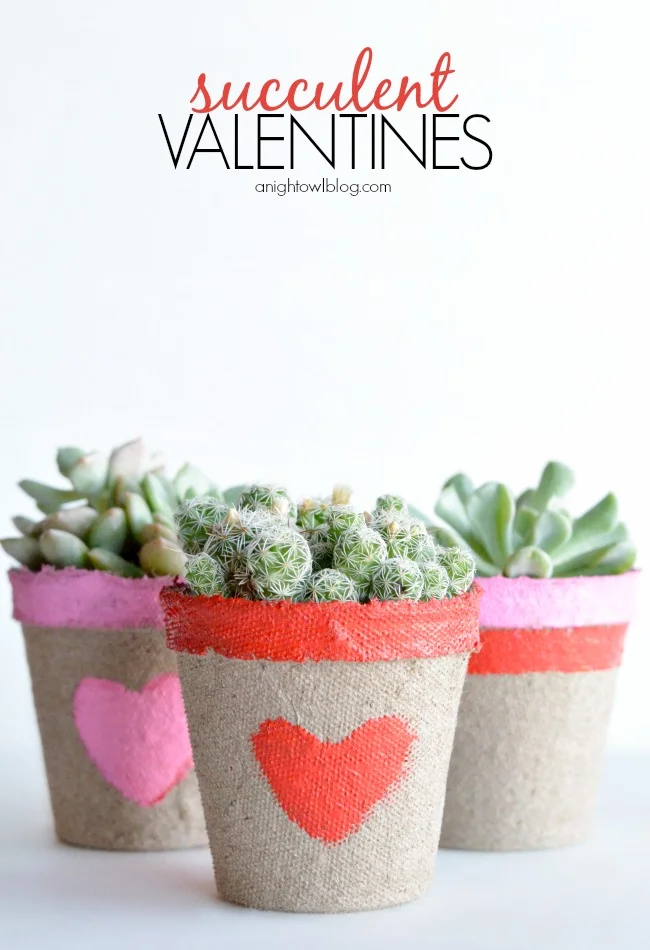12. Valentine’s Day Succulent