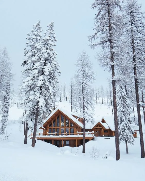 2022年在山区投资租赁