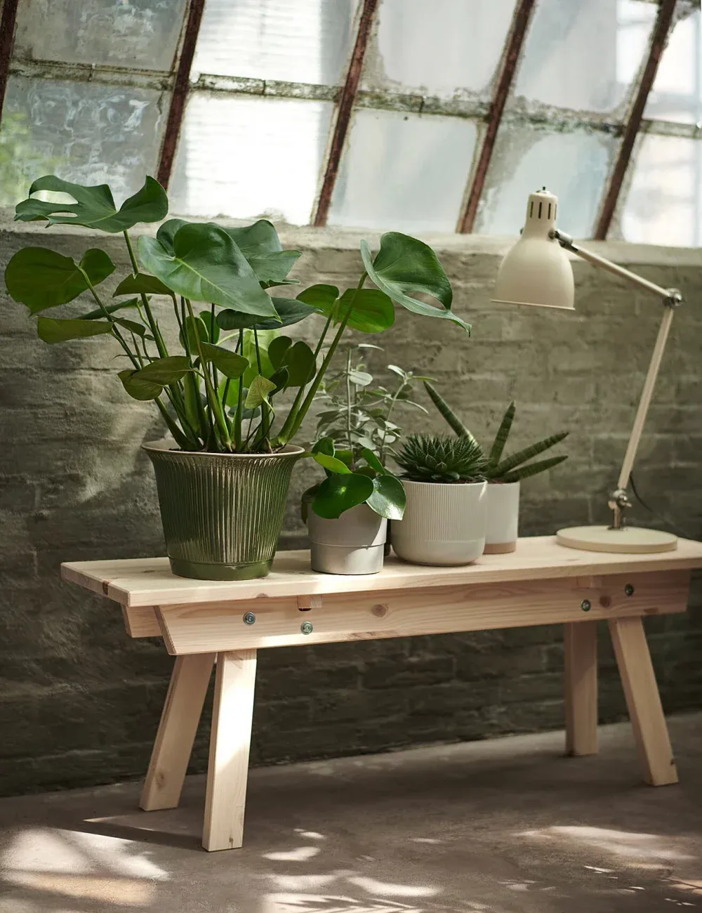 花盆，提升您的空间品质