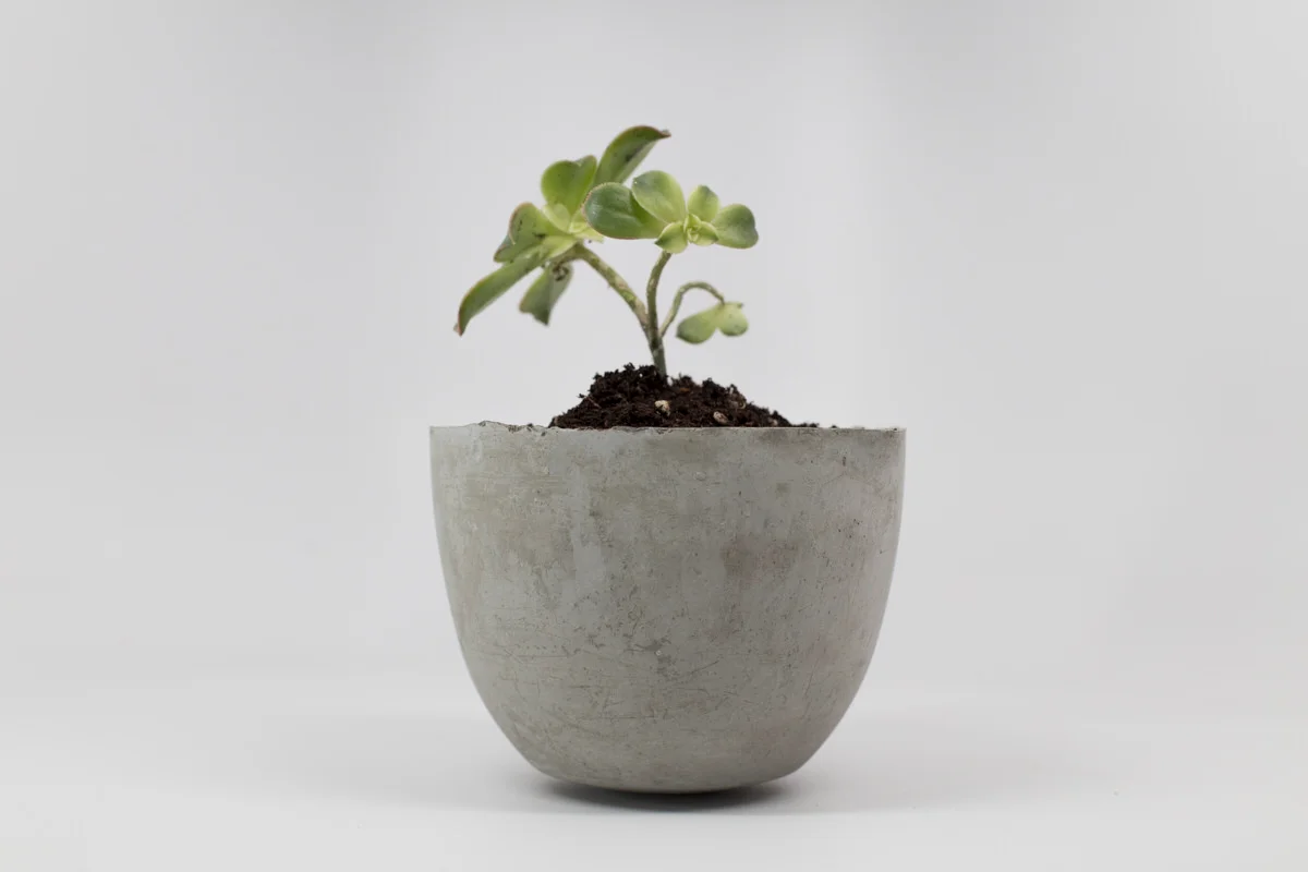 13. Maceta de concreto DIY