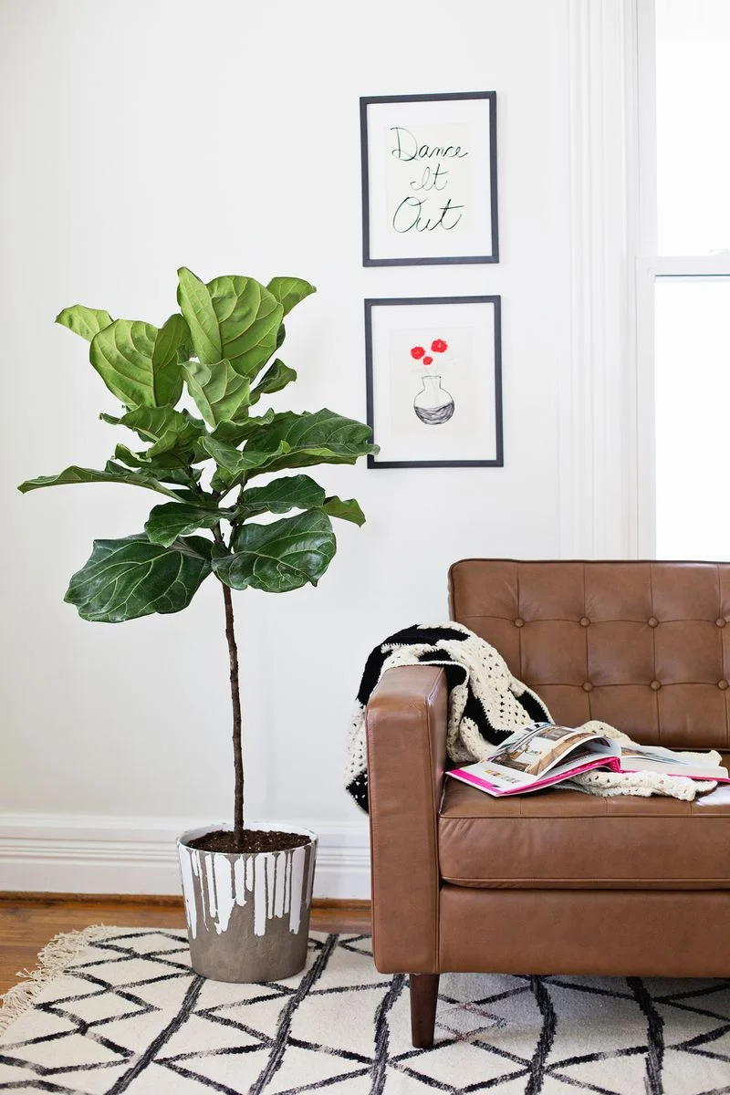 15. Maceta de concreto DIY con acabado gota