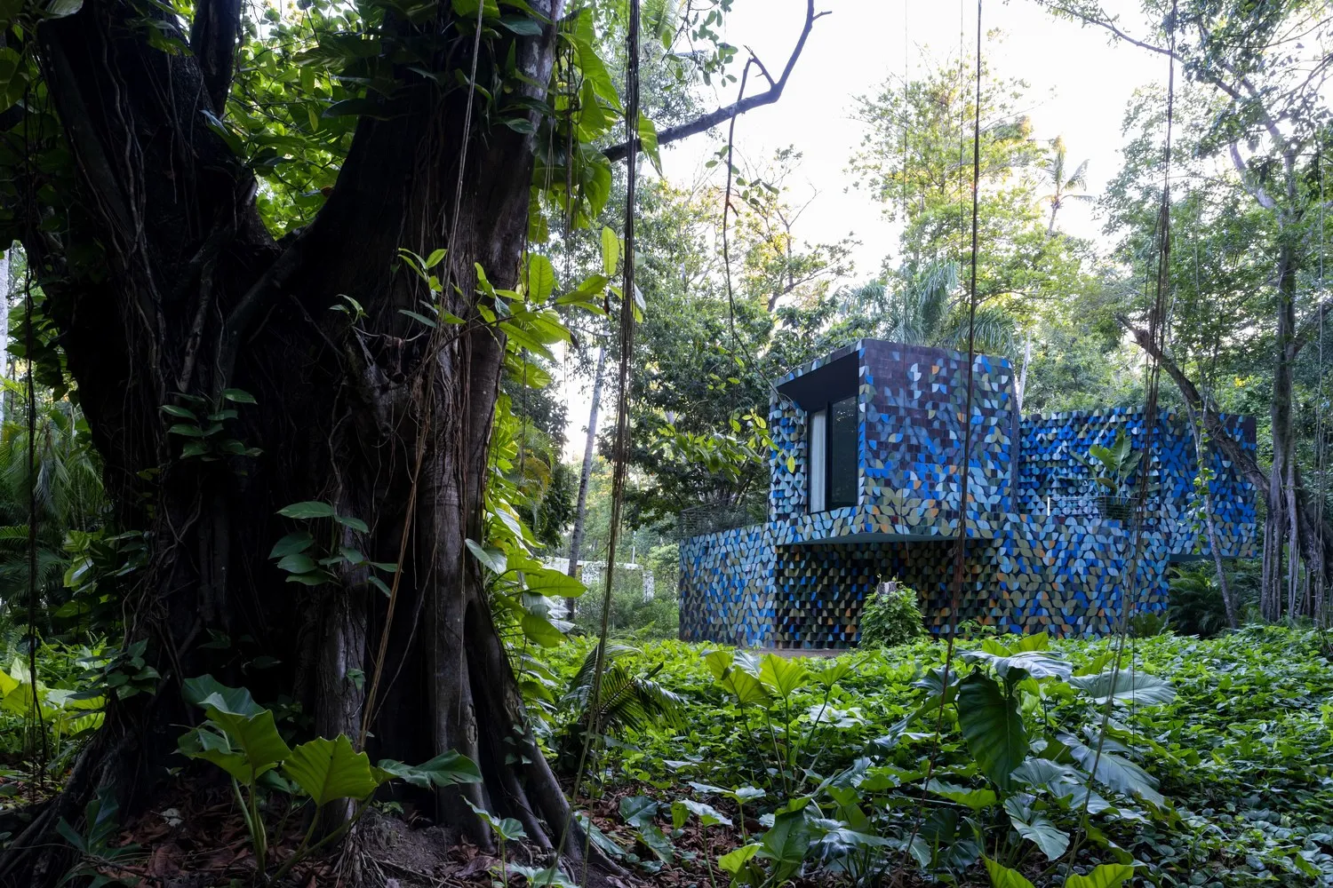 多米尼加共和国Young Projects的拉斯奥拉斯别墅