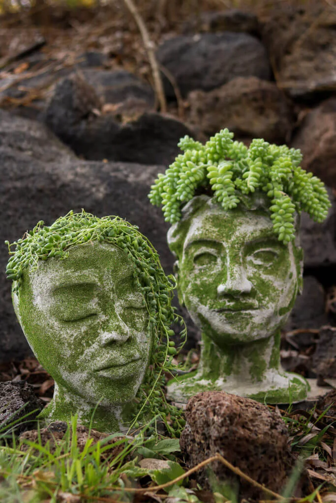 8. Maceteros de concreto en forma de cabezas