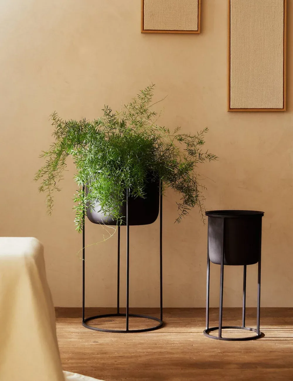 花盆，提升您的空间品质