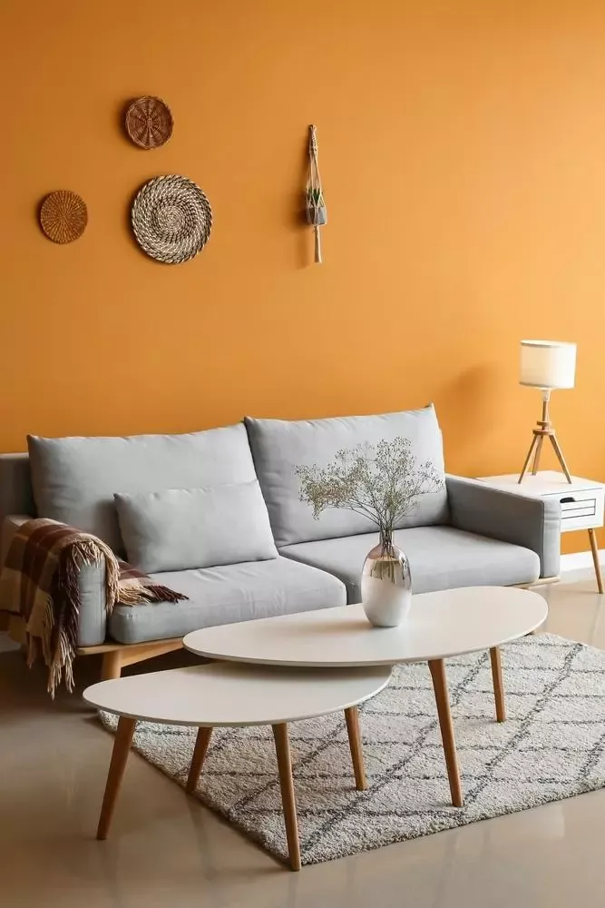Orange Tone Variations for Interior
