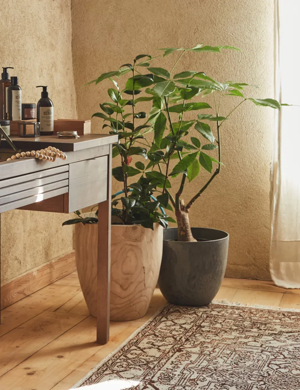 花盆，提升您的空间品质