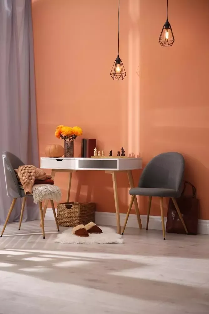 Orange Tone Variations for Interior