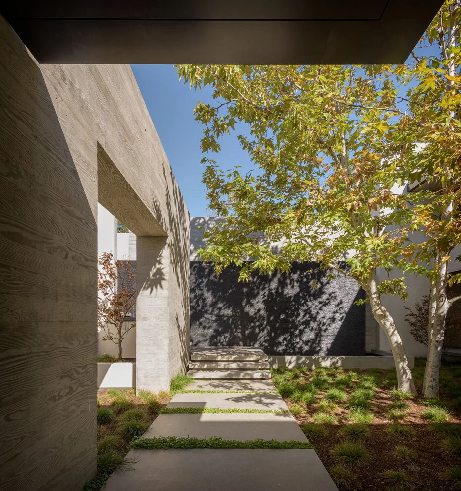 6. Diseño moderno de paisaje con sombra parcial y azulejos de concreto en San Diego