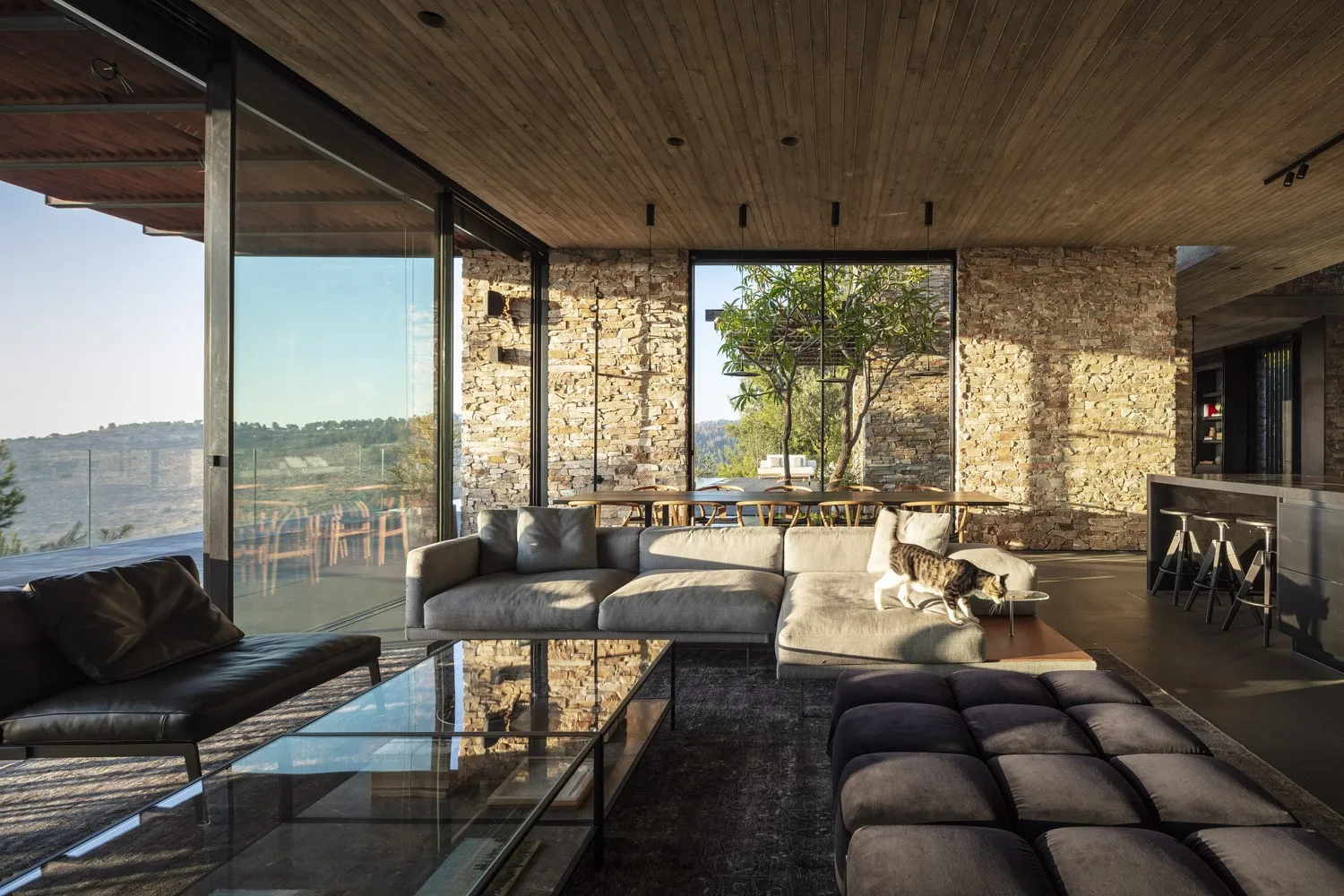 现代石制别墅 Dana Oberson Architects 在内瓦伊兰，以色列