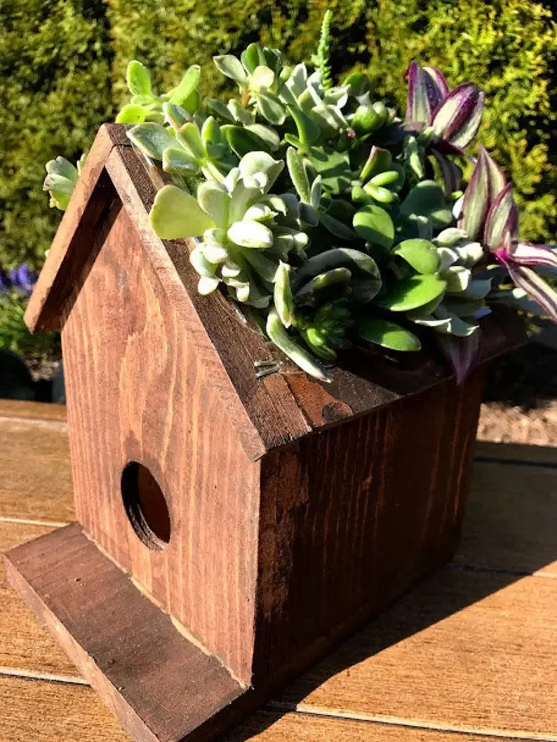 3. Пташина гніздо-плантер з кактусами