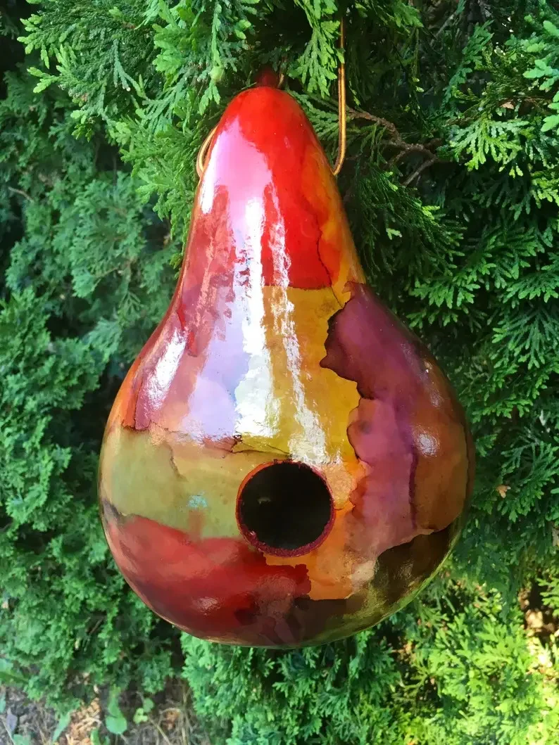 11. Ручне пташина гніздо з кабачка