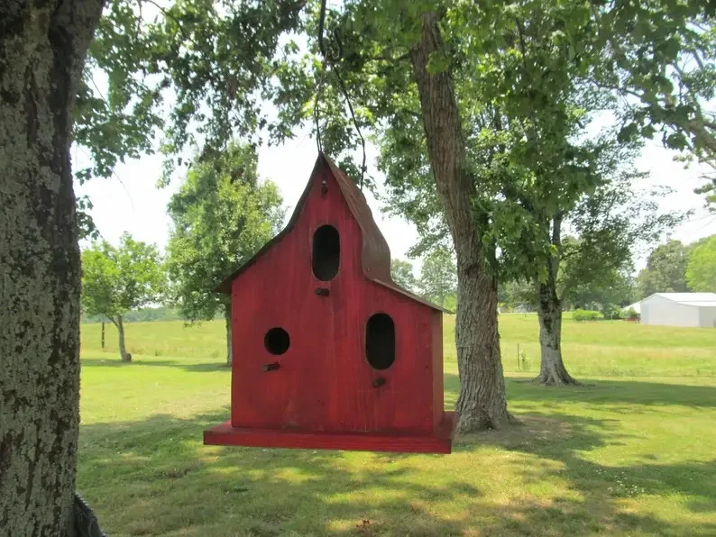 7. Рустове пташина гніздо на фермі