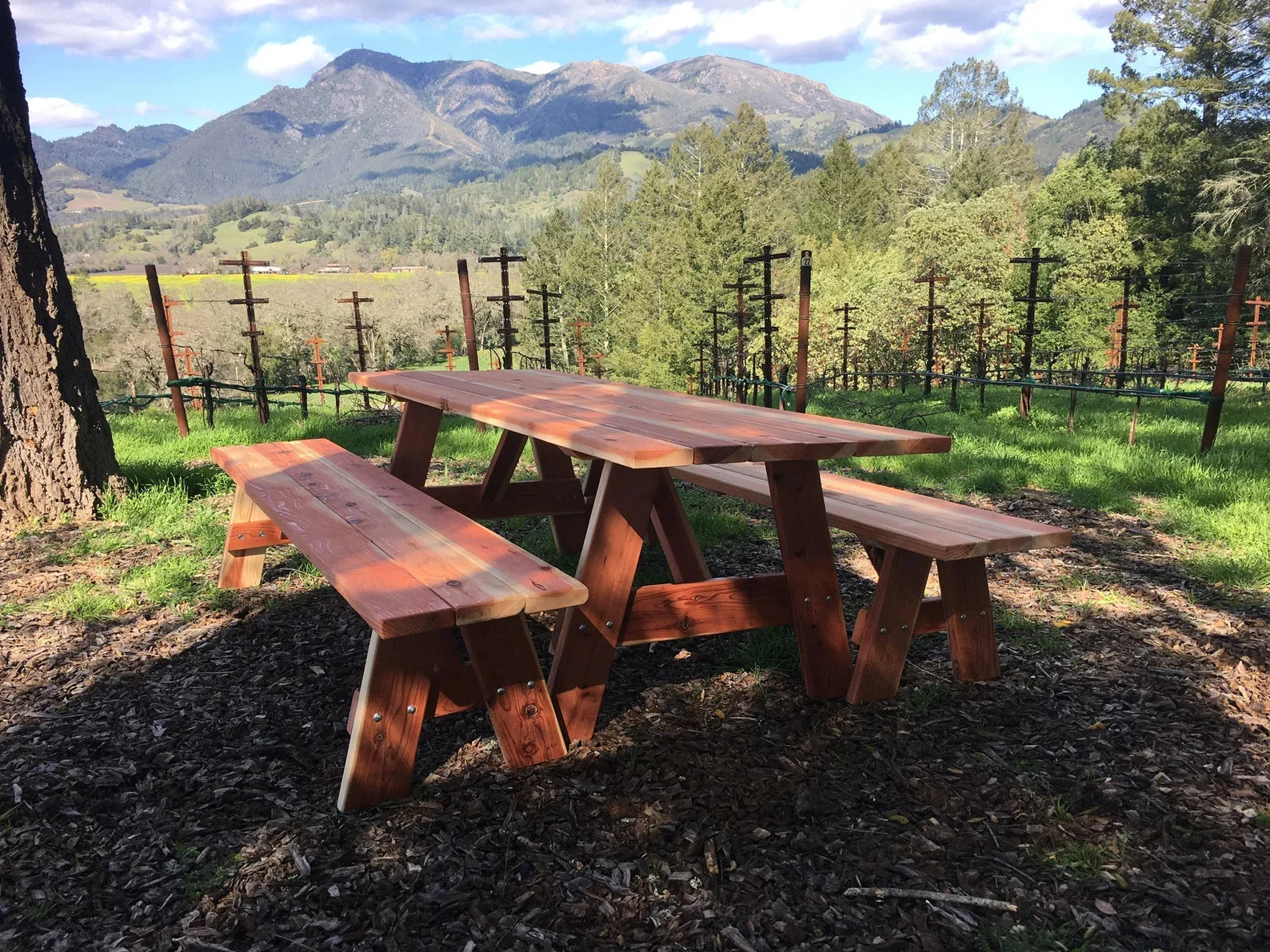 13. Picnic Table Made from Redwood with Separate Benches