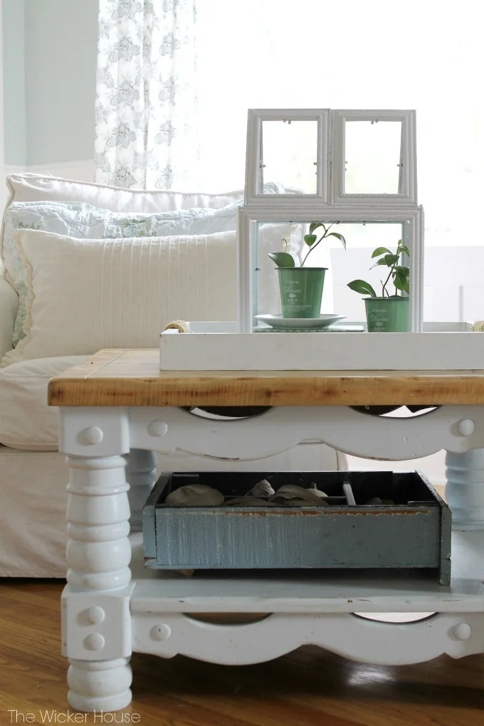 15. HOGAR VERDE-TERARIUM EN MARCO DIY