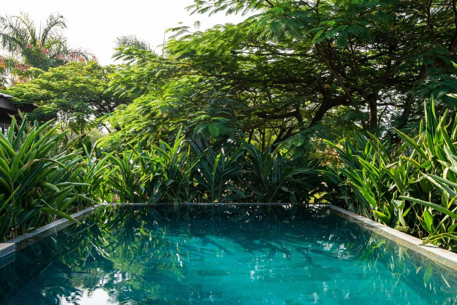 Rural House by Sala 03 Arquitetura: Modern Living Immersed in Nature