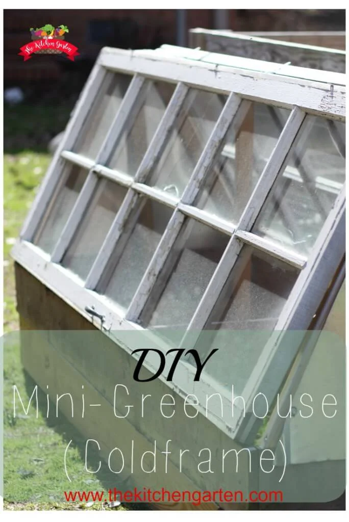 12. Hogar Verde Mini DIY