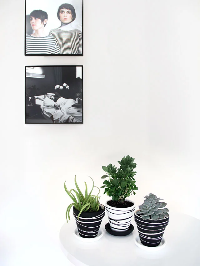 15. 用橡胶肩带染色花盆