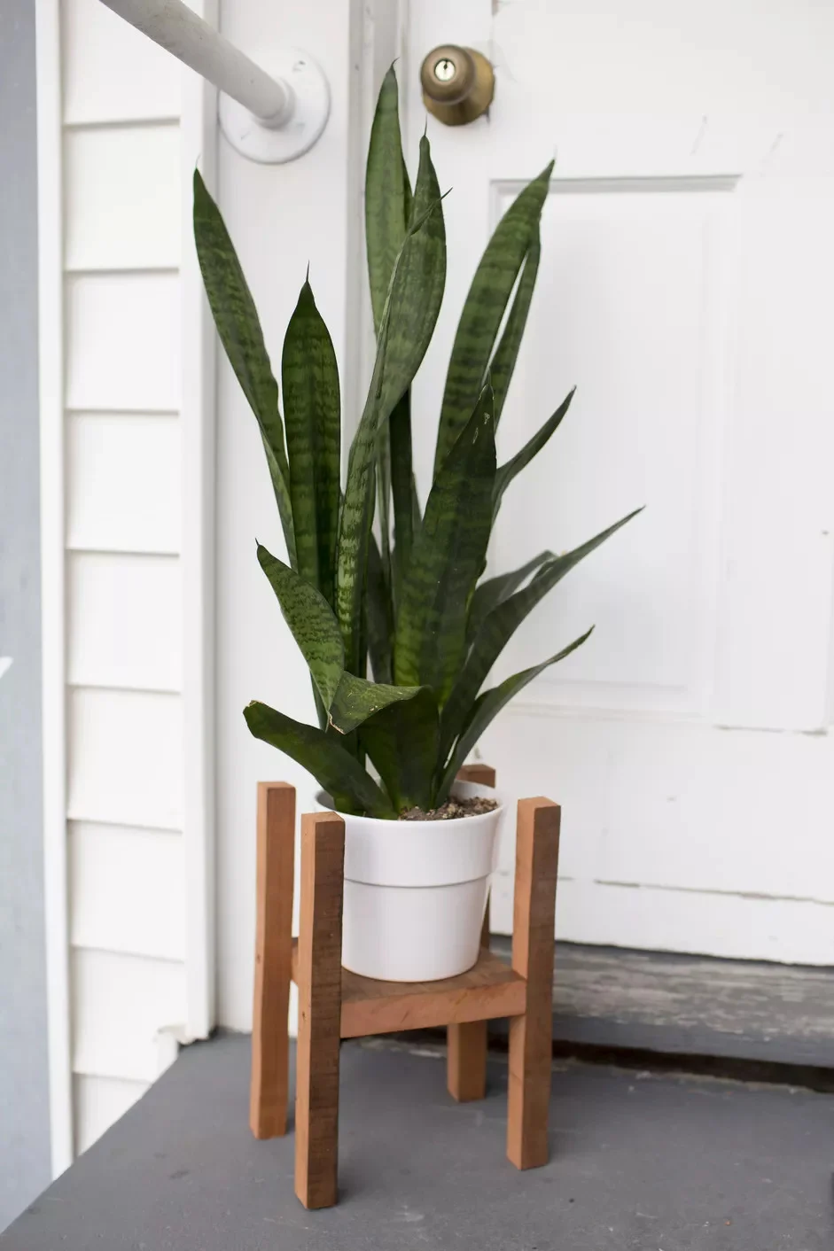 5. Soporte de plantas DIY en estilo mediados del siglo XX