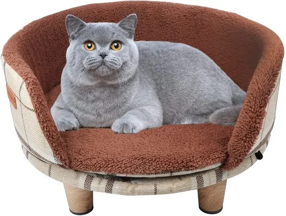 Designer Cat Mat