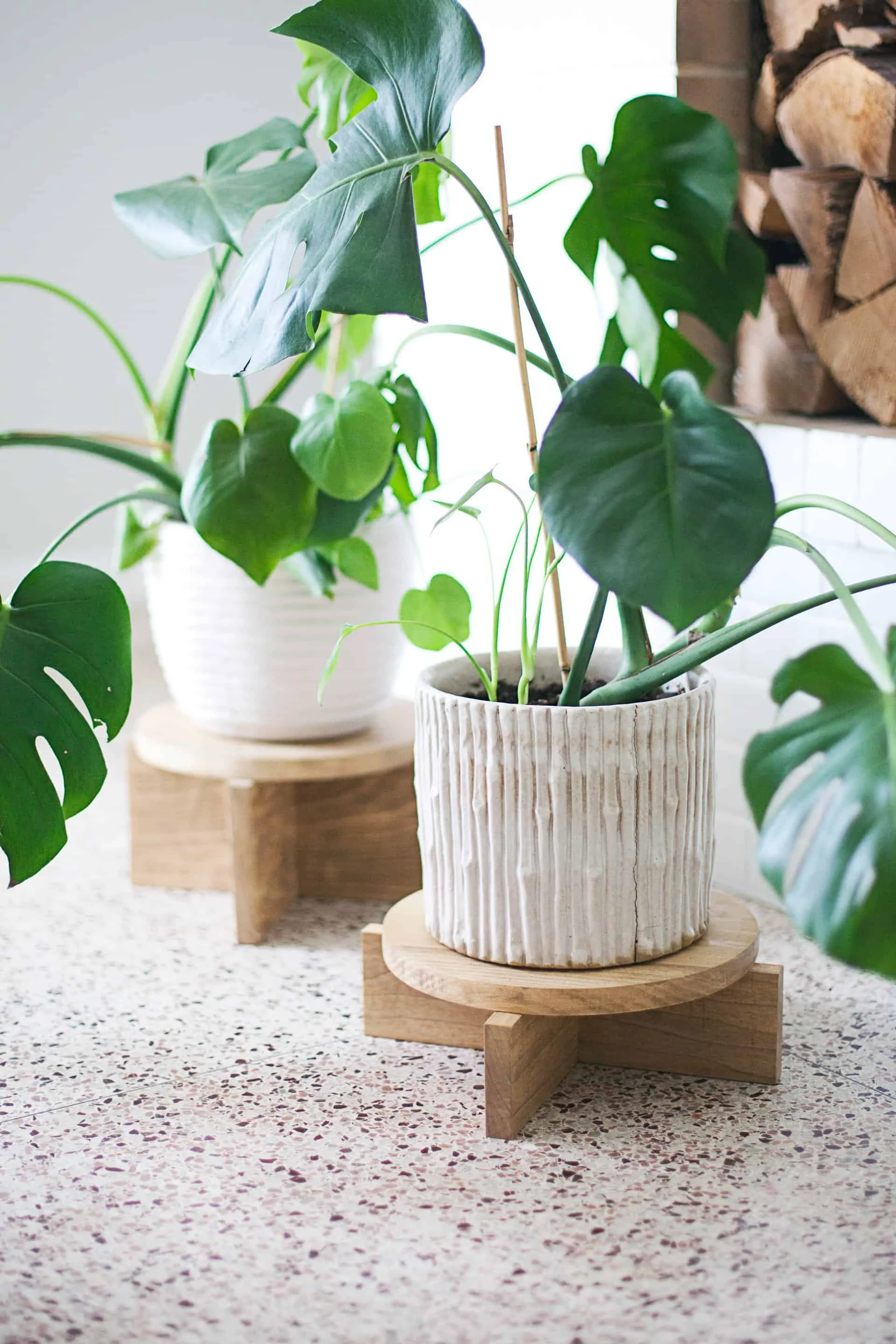 14. Soporte de plantas DIY hecho con alambre