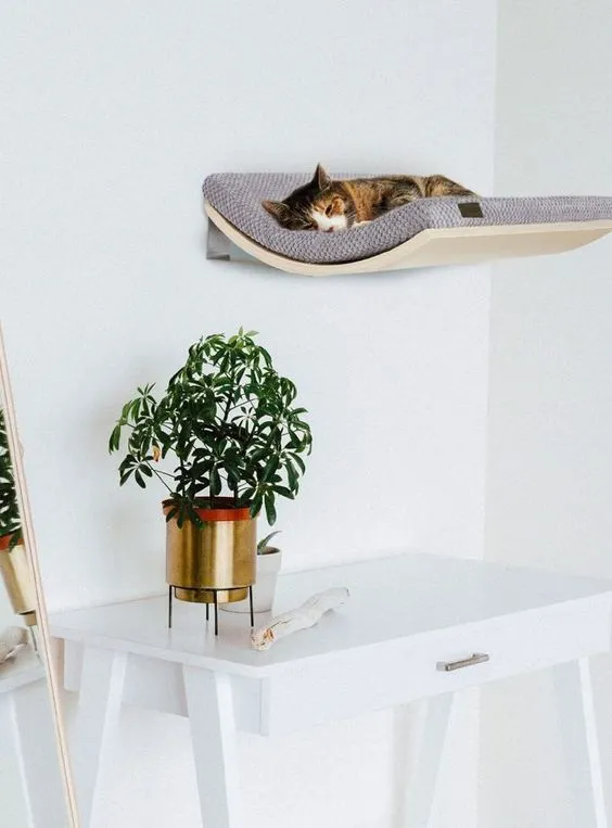 可爱的猫咪家具设计灵感