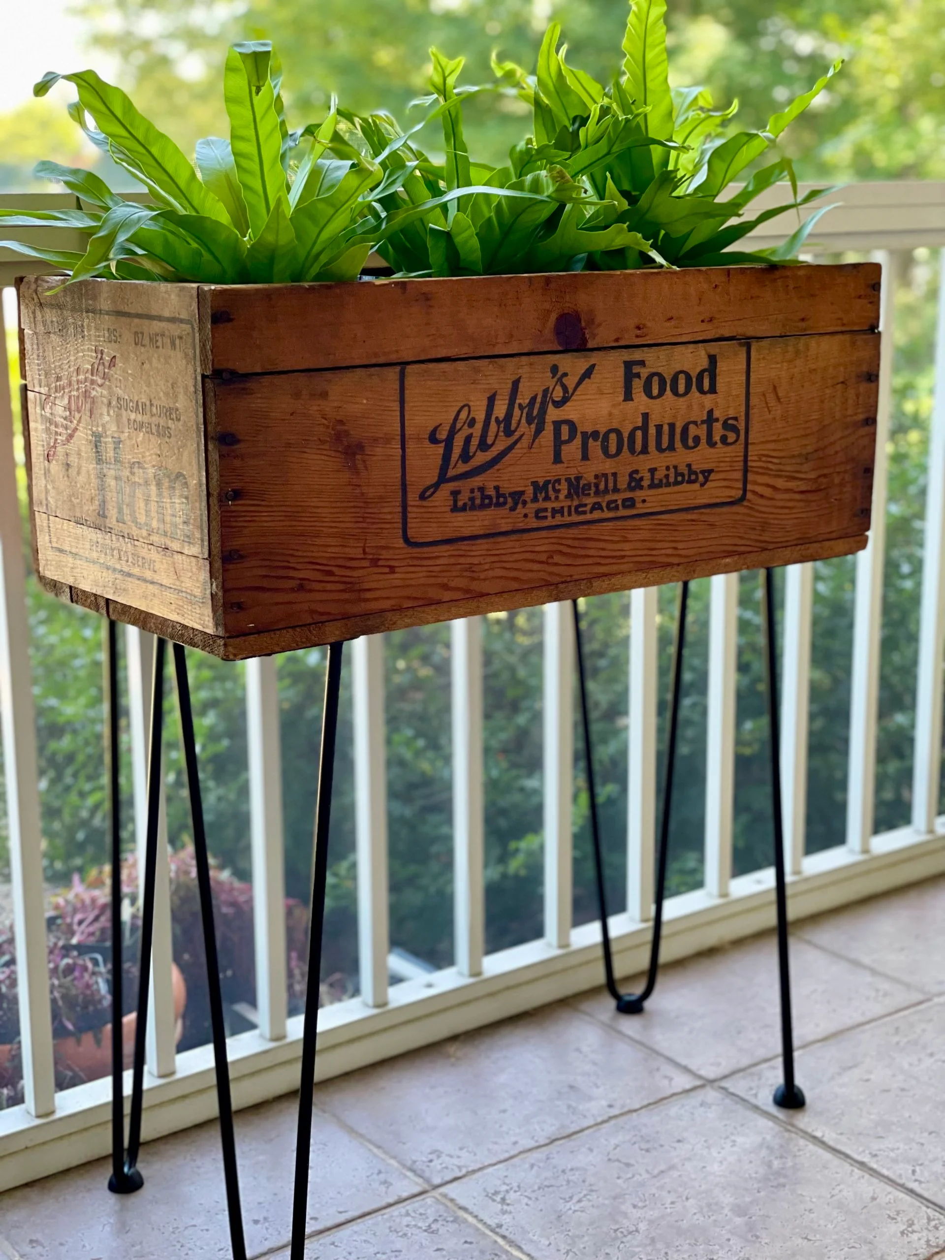 10. Caja vintage convertida en soporte de plantas moderno