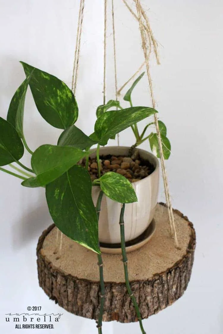16. Very Easy DIY Wooden Hanging Planter