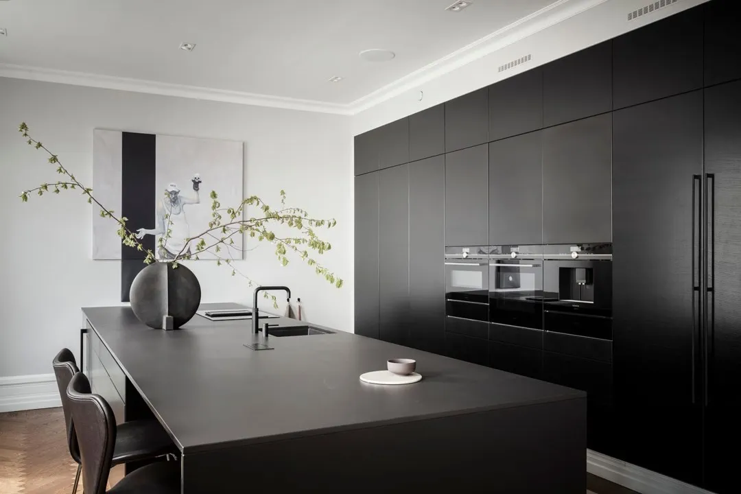 奢华北欧风格带黑色细节的公寓设计