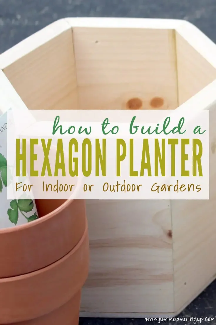 3. CREACIÓN DE UNA MACETA HEXAGONAL DIY