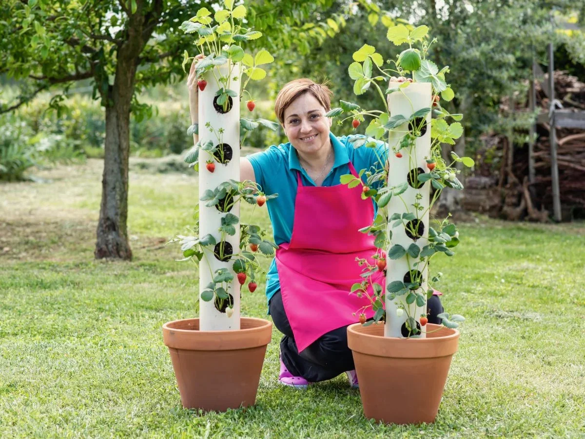 14. Maceta PVC DIY para fresas