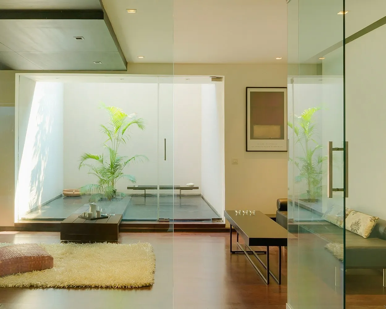 House with canopy by DADA & Partners in New Delhi, India