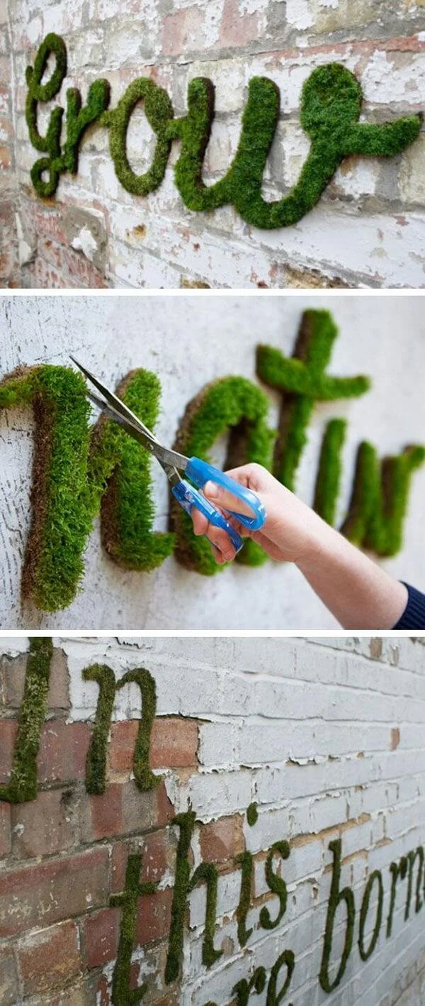 14. Proyecto DIY: grafiti de musgo