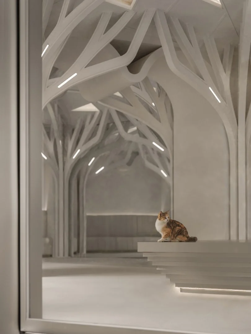 1/2 Coffee & Bar de PANDA NANA en Xiamen, China 1/2 Coffee & Bar de PANDA NANA en Xiamen, China