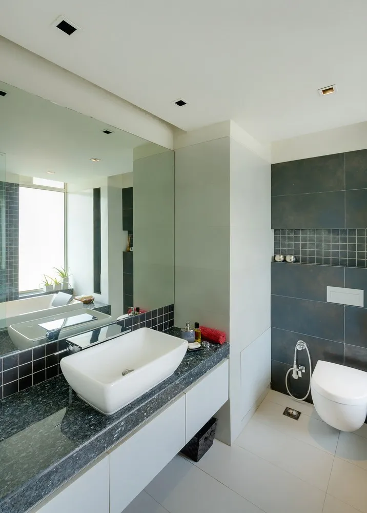 House with canopy by DADA & Partners in New Delhi, India