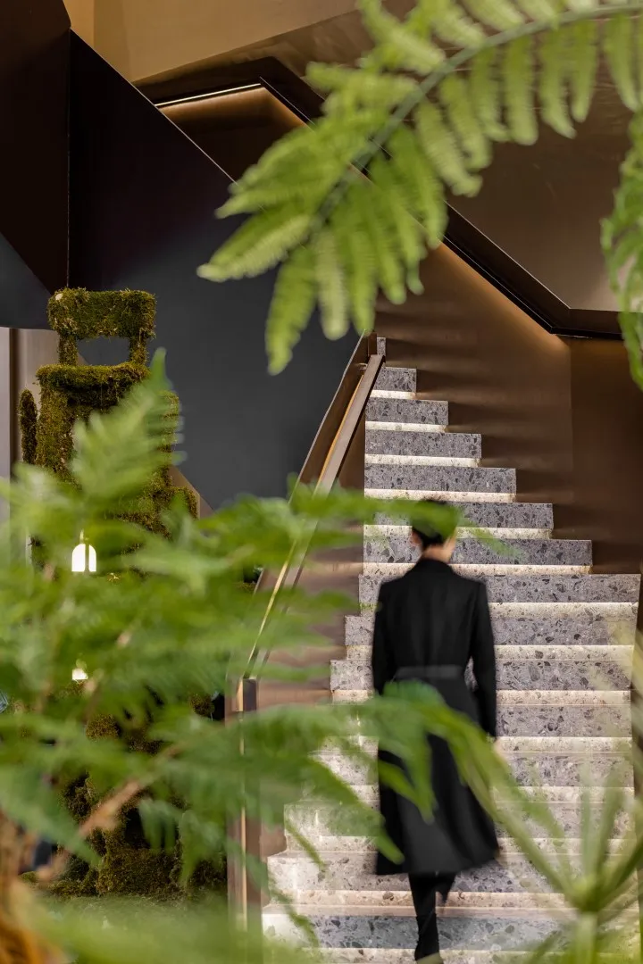 Городской проект Джиньке - Разнообразная жизнь и лесной опыт в Цзюньлай, Китай Городской проект Джиньке - Разнообразная жизнь и лесной опыт в Цзюньлай, Китай