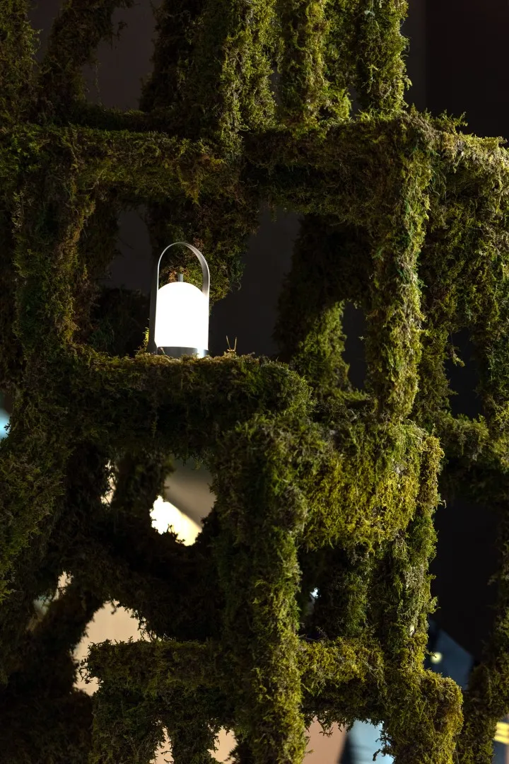 Городской проект Джиньке - Разнообразная жизнь и лесной опыт в Цзюньлай, Китай Городской проект Джиньке - Разнообразная жизнь и лесной опыт в Цзюньлай, Китай