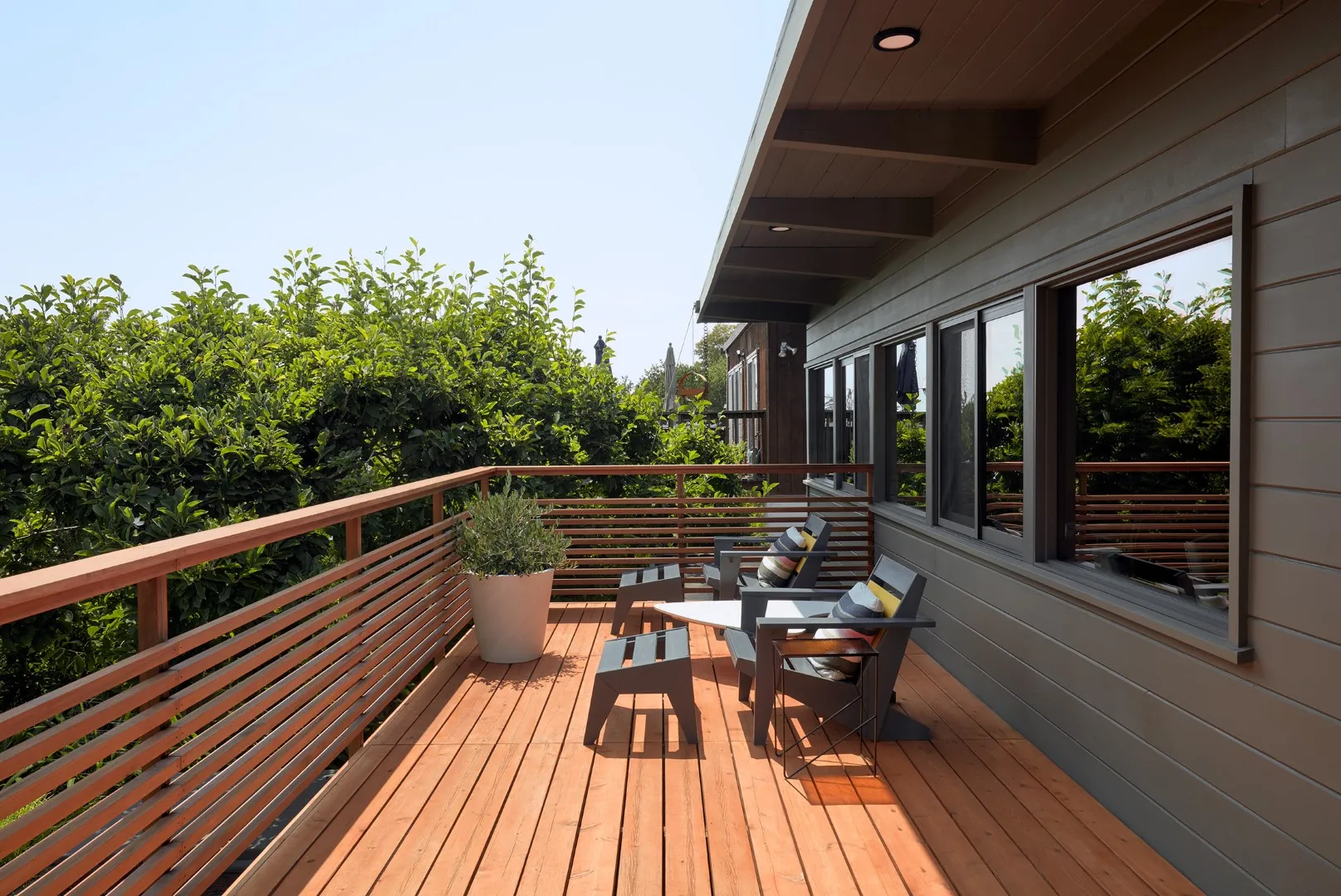 伯克利山丘上的现代中世纪风格住宅翻新：树影中的现代庇护所