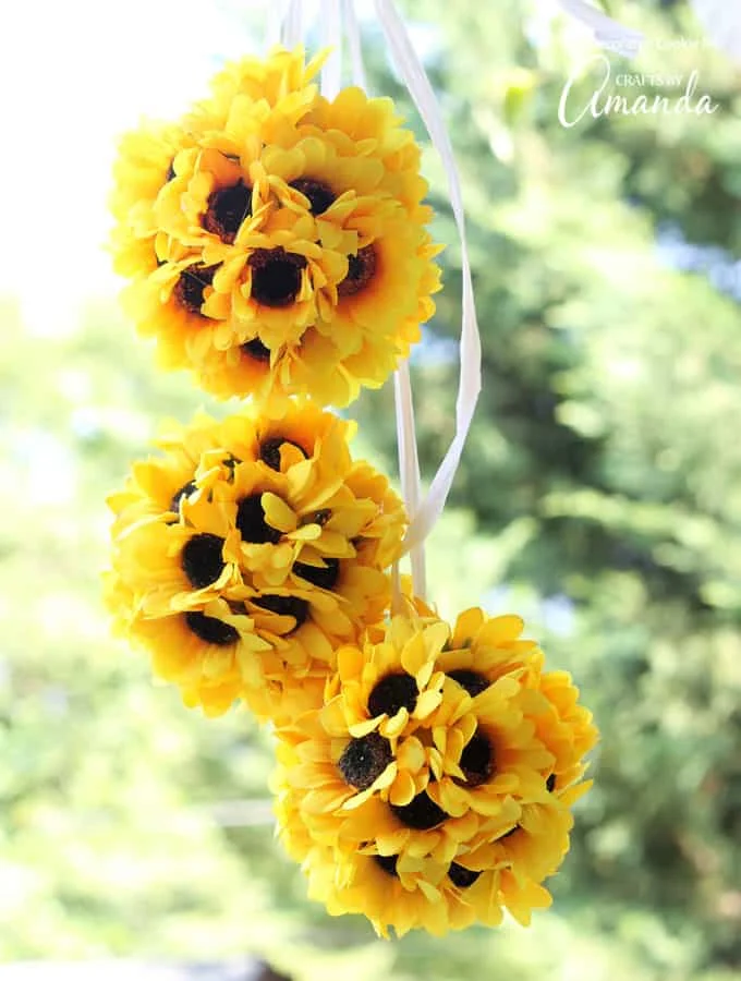 3. Sonnenblume mit Kiss Balls