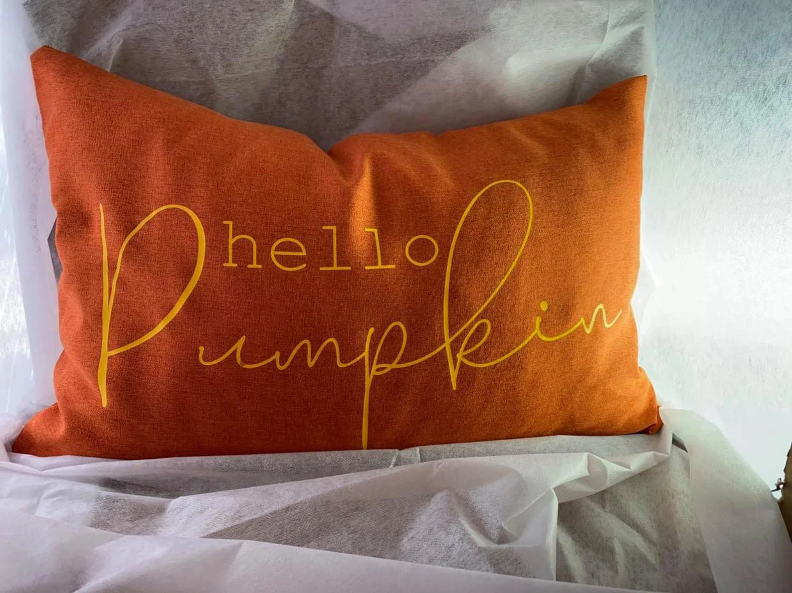 12. Подушка з привітом гарбуза осінню