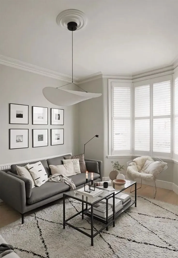 浅灰色：如何在装饰中使用及9个完美解决方案