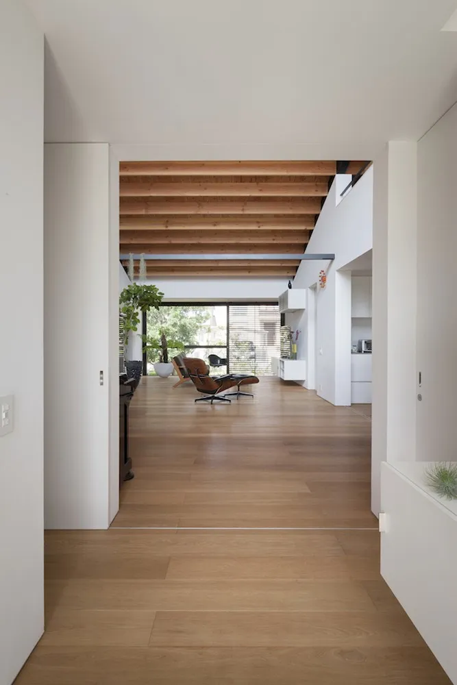 Naoi建筑与设计事务所的大型屋顶住宅日本