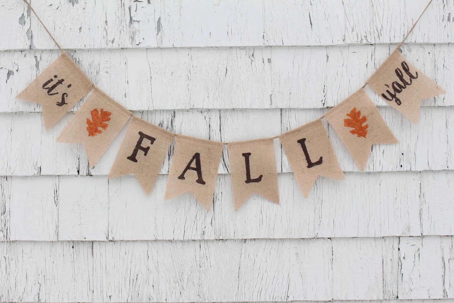 5. It's Fall, Guys! Banner
