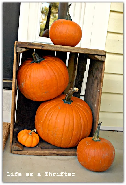 6. Kürbisse in einer Kiste