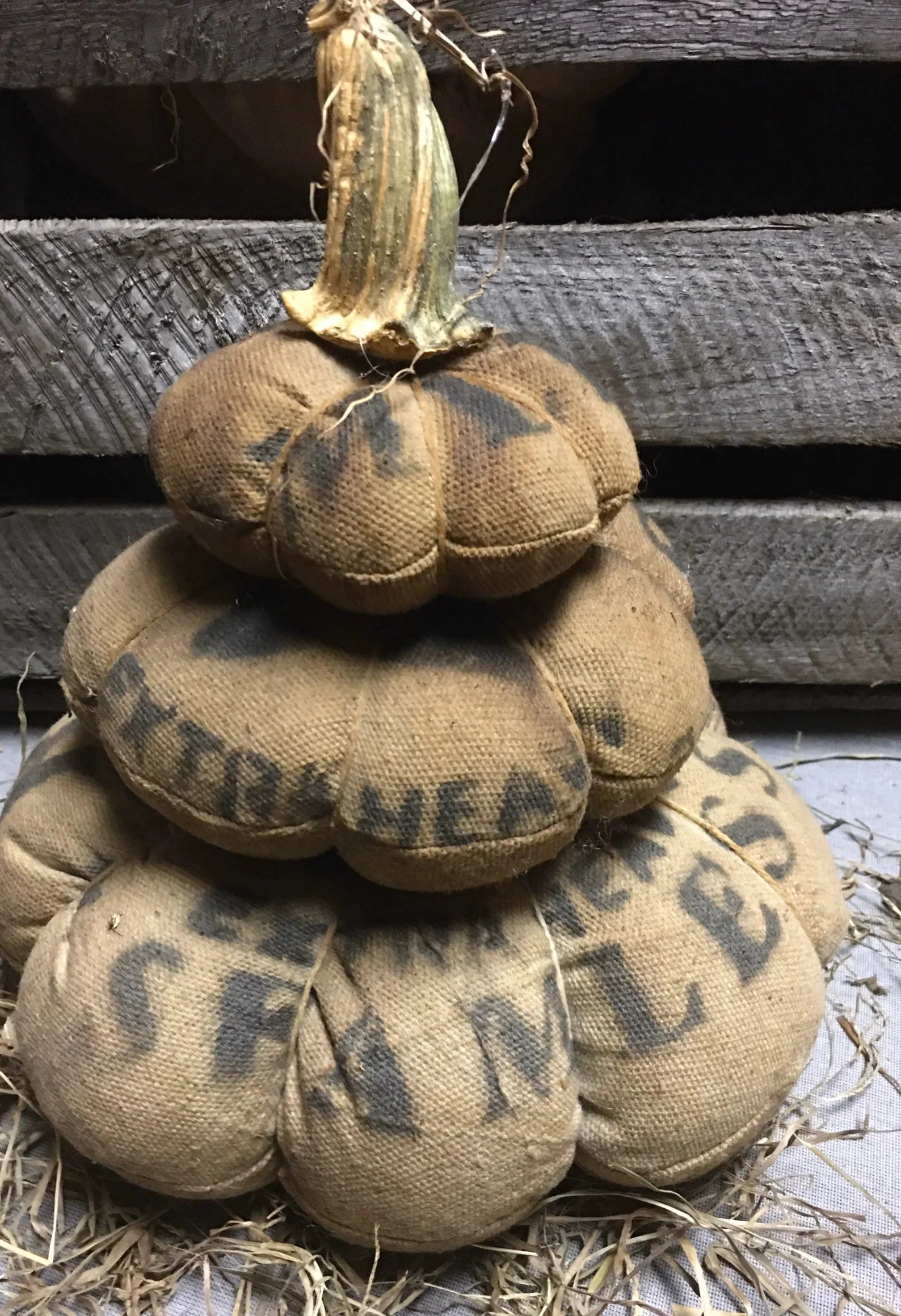 6. Primitive Kürbelschicht aus Bauernfutter