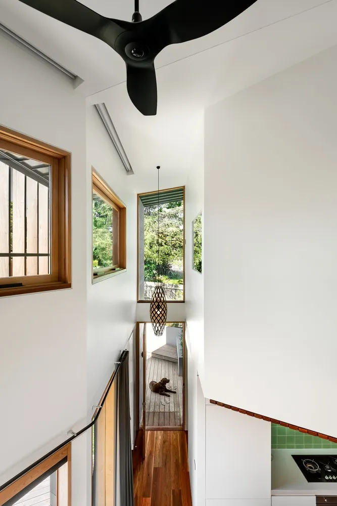 绿羊集体在澳大利亚墨尔本的大道住宅