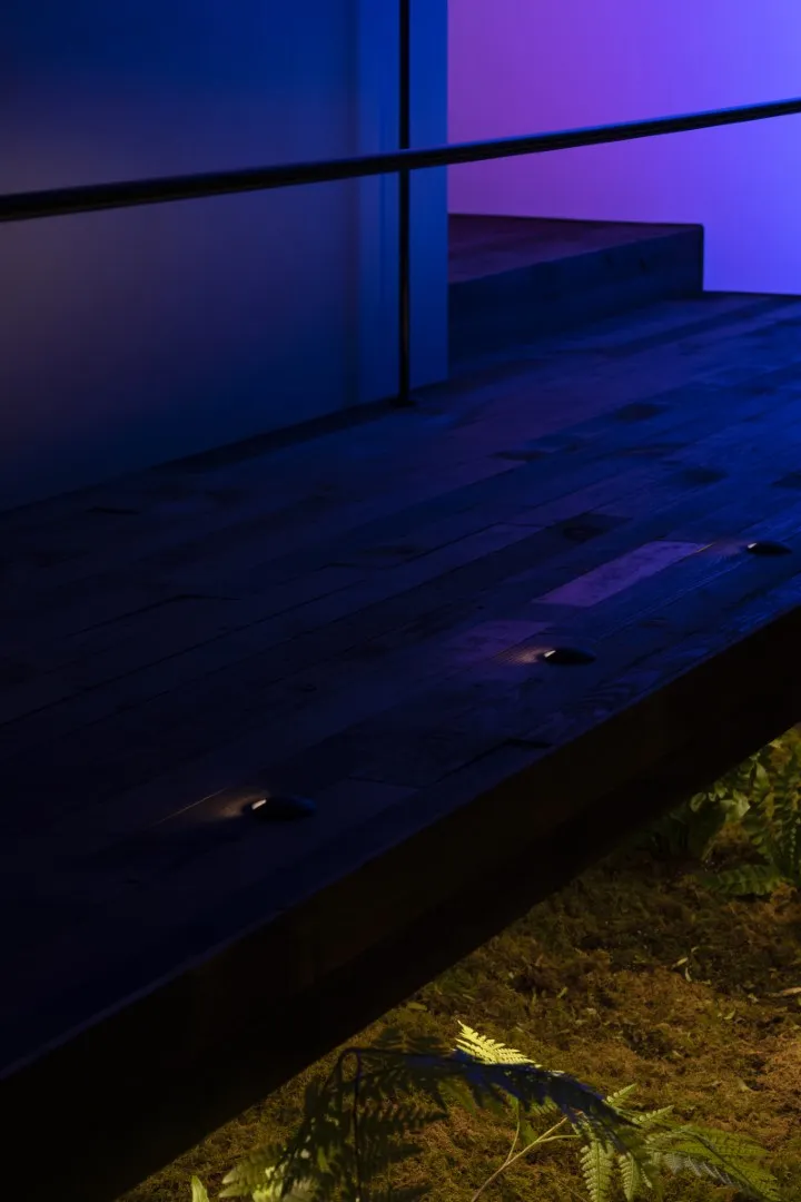 Штаб-квартира LITEX SURFACE від JUMGO CREATIVE: Флагманський магазин, що поєднує ідентичність бренду з експериментальним дизайном