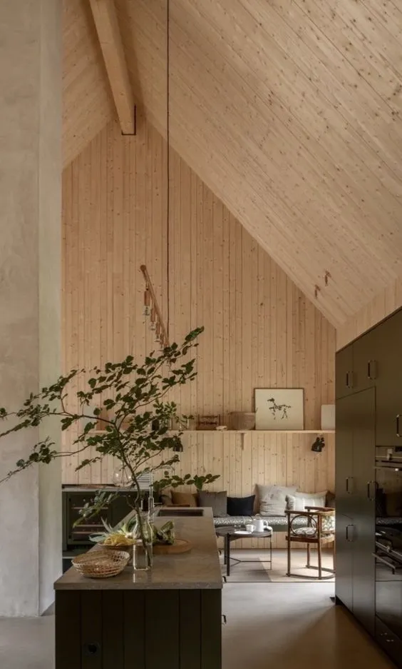 令人印象深刻的新现代木屋设计