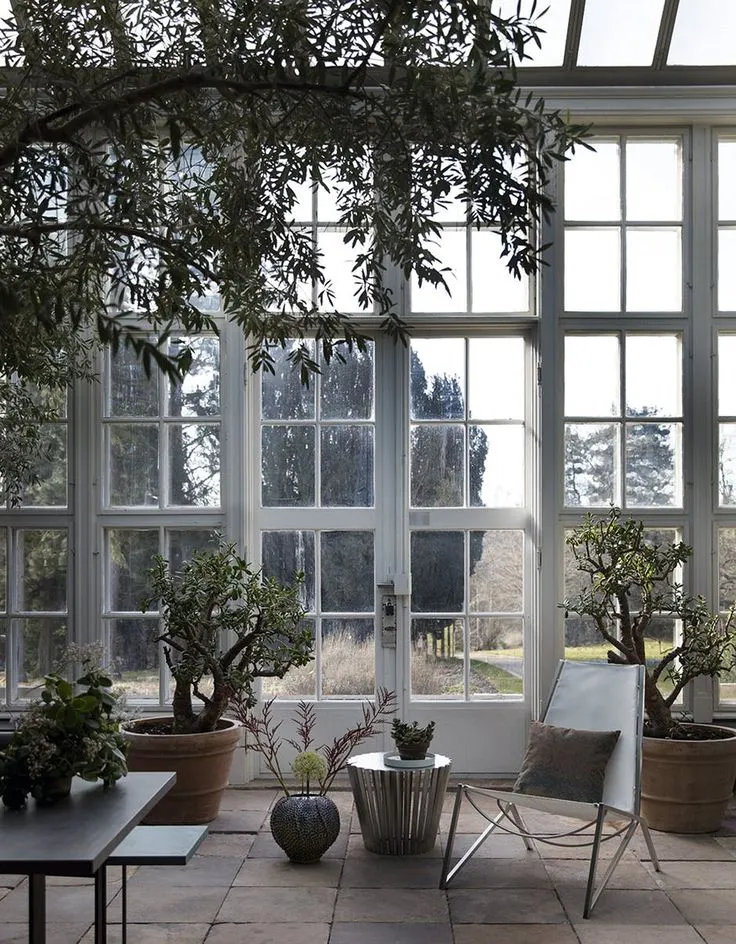 Small Winter Garden: How to Make One and Tips