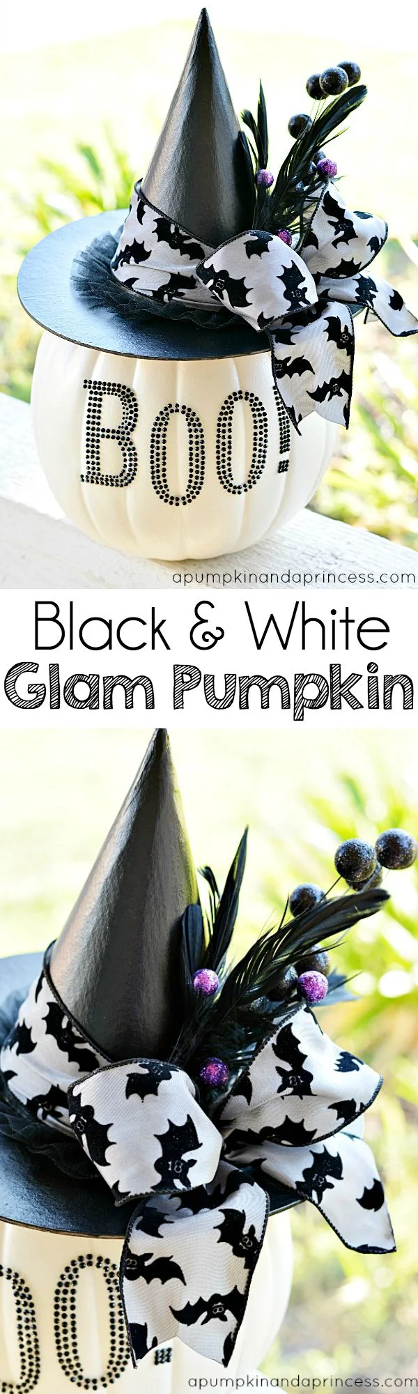 11. Gama de colores blanco y negro en calabaza