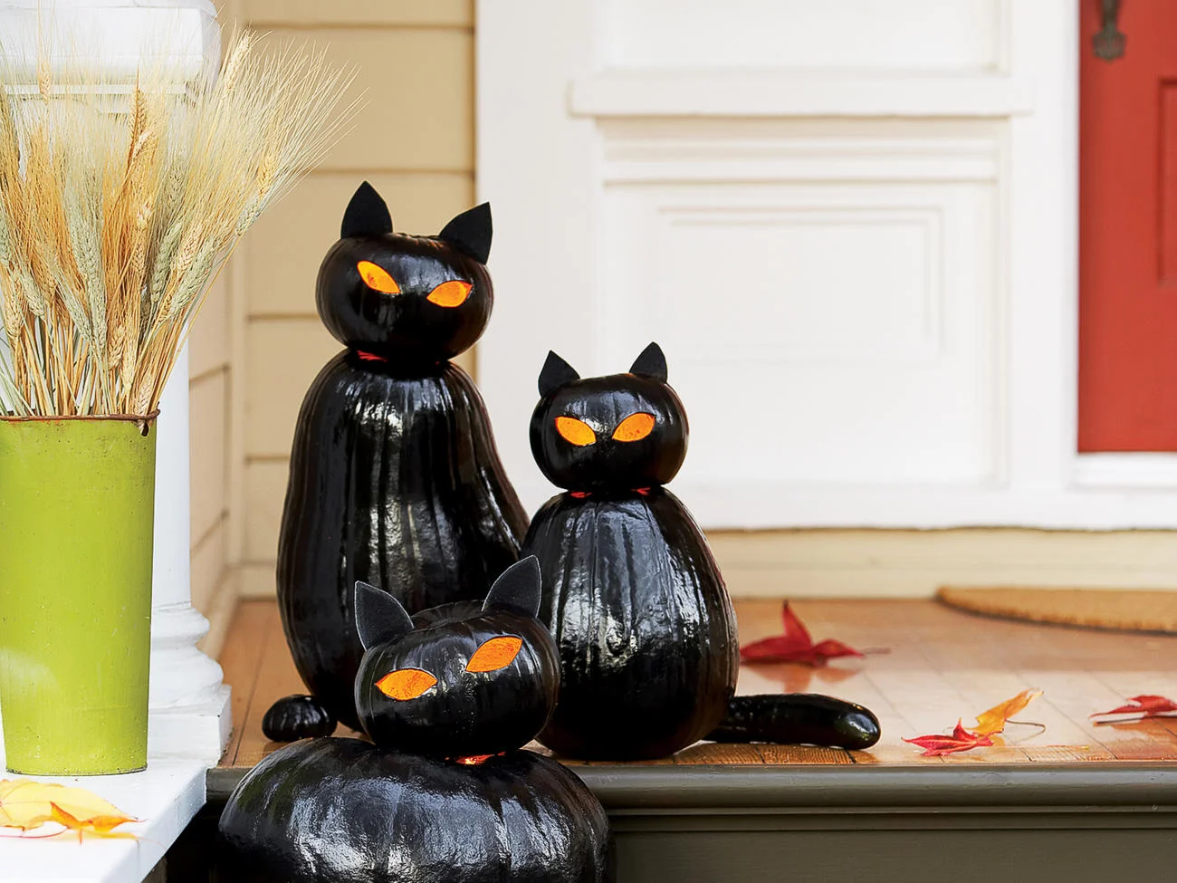 Black Cat Pumpkins
